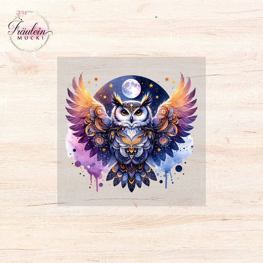 Bügelbild Magic Owl