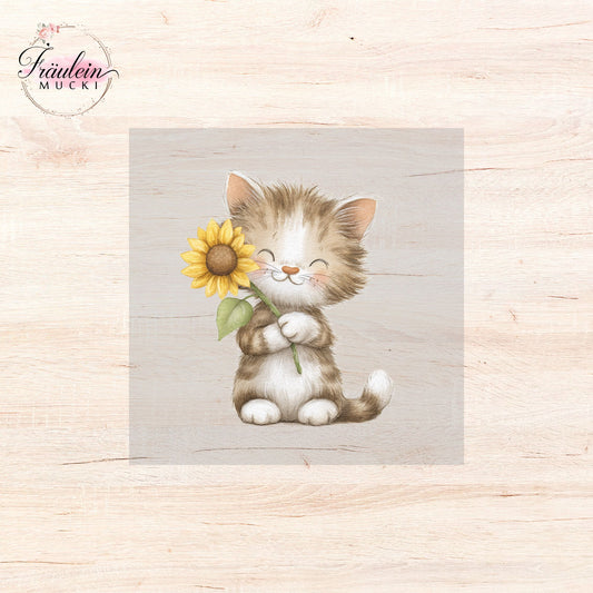 Bügelbild Autumn Cuties