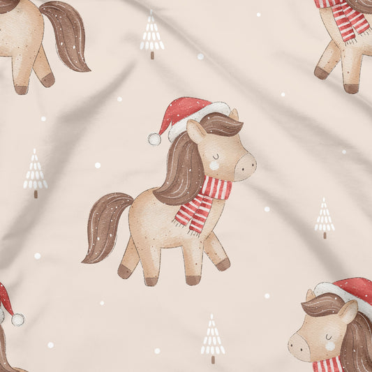 Winterpony