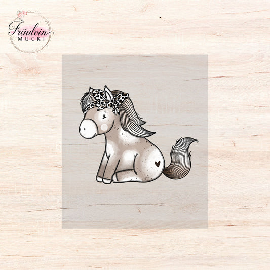 Bügelbild Leo Pony