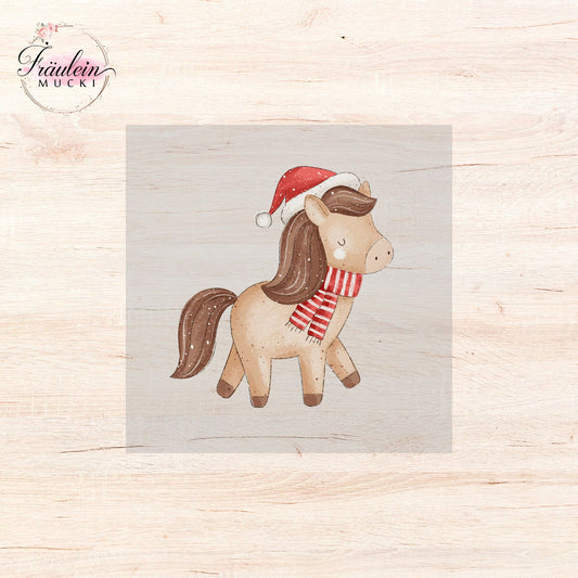 Bügelbild Winterpony