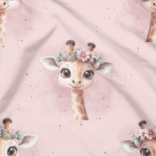 Baby Giraffe