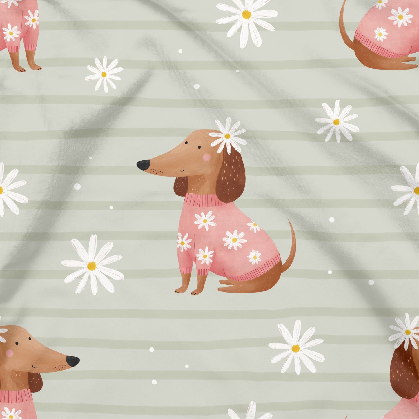 Dackel Vorbestellung