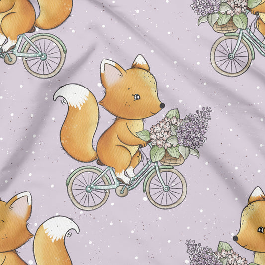 Fahrradtour Fuchs Vorbestellung